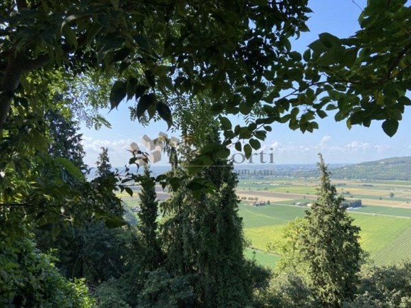 terreno in vendita a Sossano