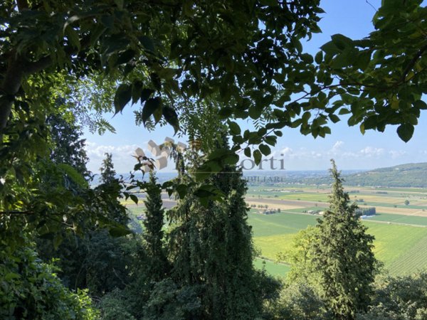 terreno in vendita a Sossano