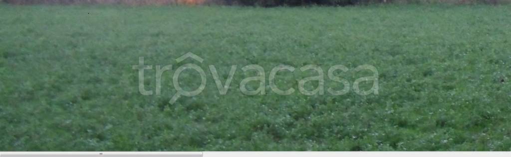 terreno agricolo in vendita a Tezze sul Brenta in zona Tezze