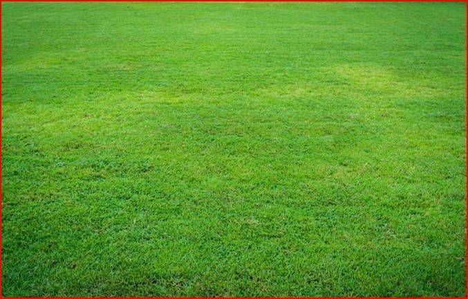 terreno agricolo in vendita a Tezze sul Brenta in zona Tezze