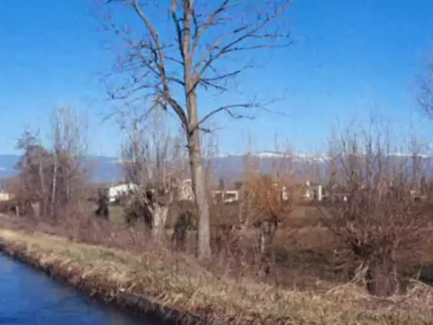 terreno agricolo in vendita a Tezze sul Brenta