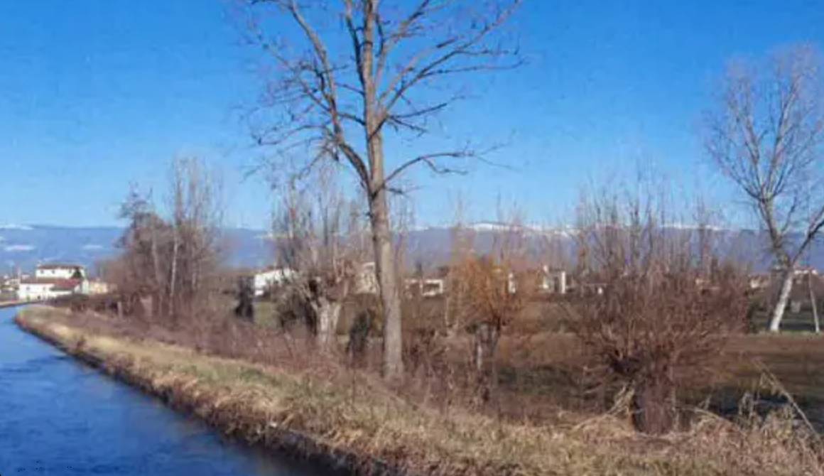 terreno agricolo in vendita a Tezze sul Brenta