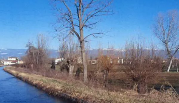 terreno agricolo in vendita a Tezze sul Brenta