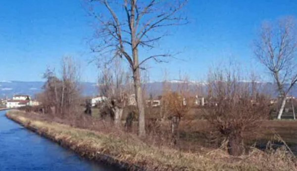 terreno agricolo in vendita a Tezze sul Brenta