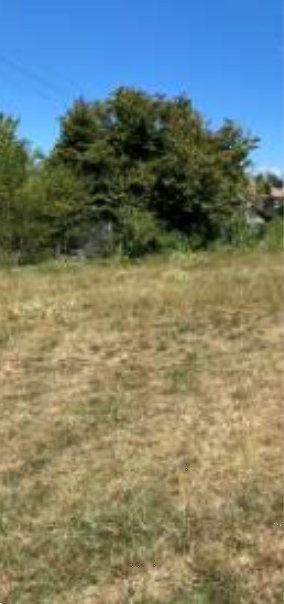 terreno edificabile in vendita a Tezze sul Brenta in zona Granella
