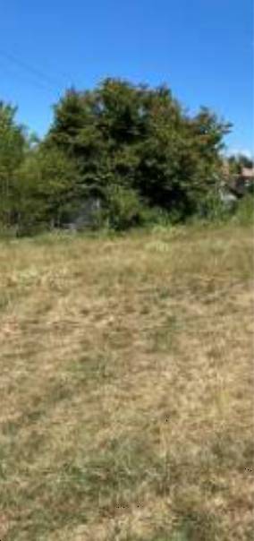 terreno edificabile in vendita a Tezze sul Brenta in zona Granella