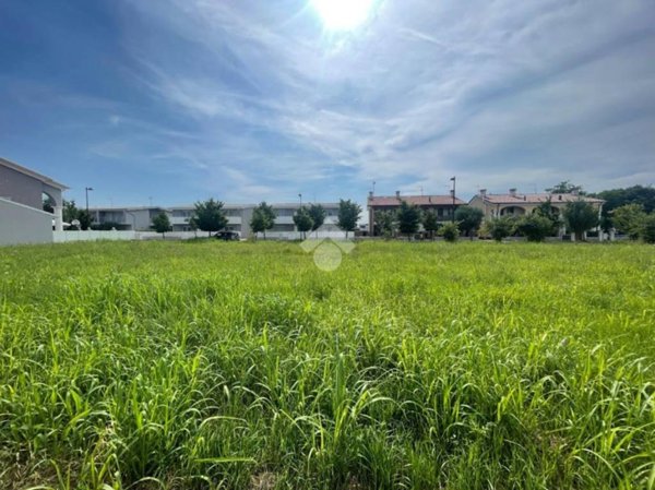 terreno agricolo in vendita a Tezze sul Brenta in zona Belvedere