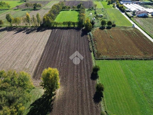 terreno agricolo in vendita a Tezze sul Brenta