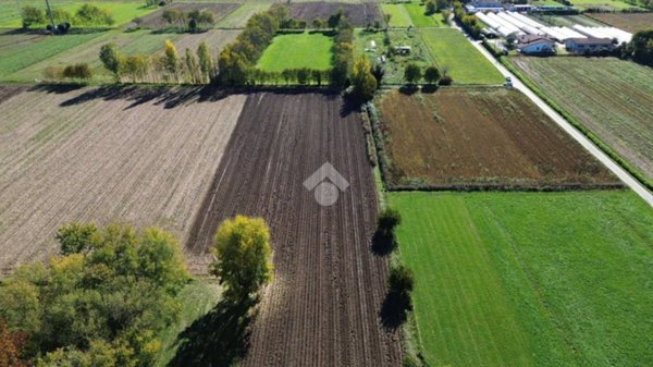 terreno agricolo in vendita a Tezze sul Brenta in zona Tezze