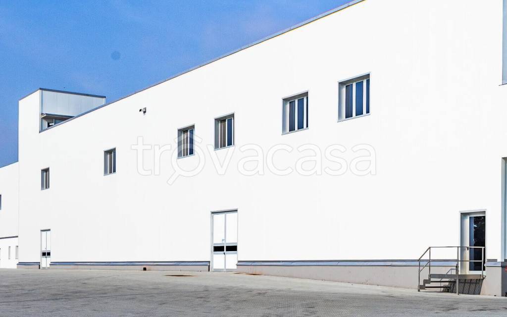 capannone in vendita a Tezze sul Brenta in zona Tezze