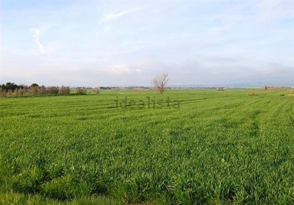 casa indipendente in vendita a Tezze sul Brenta
