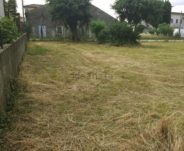 terreno edificabile in vendita a Tezze sul Brenta in zona Tezze