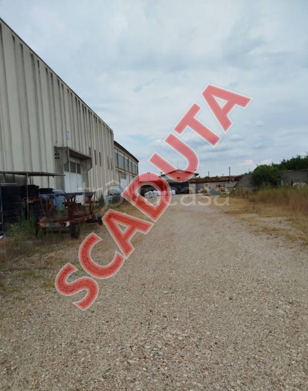 locale commerciale in vendita a Tezze sul Brenta in zona Belvedere