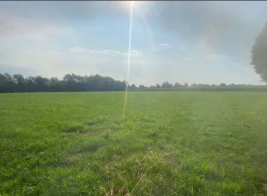 terreno agricolo in vendita a Tezze sul Brenta