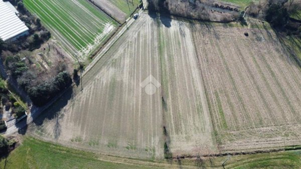 negozio in vendita a Tezze sul Brenta in zona Tezze