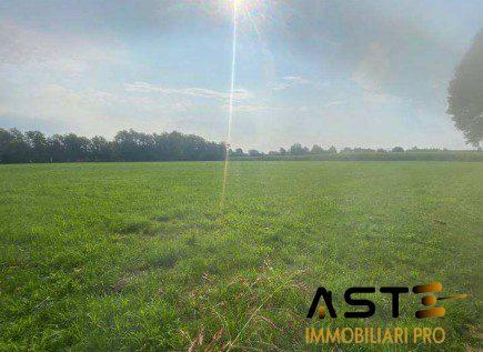 appartamento in vendita a Tezze sul Brenta