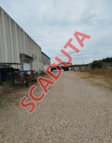 pentavano in vendita a Tezze sul Brenta in zona Tezze