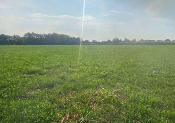 terreno agricolo in vendita a Tezze sul Brenta