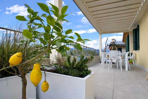 appartamento in vendita a Tezze sul Brenta