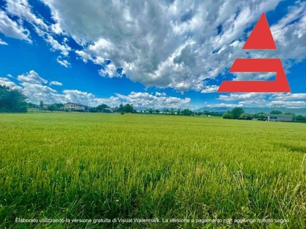 terreno agricolo in vendita a Tezze sul Brenta