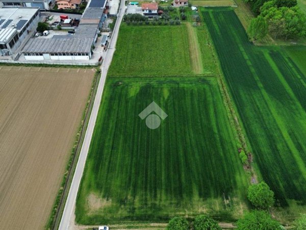 terreno agricolo in vendita a Tezze sul Brenta
