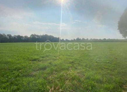 ufficio in vendita a Tezze sul Brenta