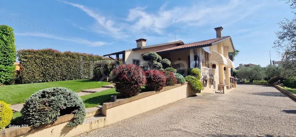 casa indipendente in vendita a Tezze sul Brenta in zona Belvedere