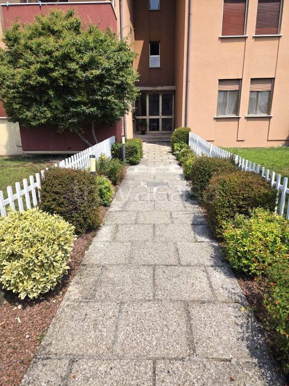 appartamento in vendita a Tezze sul Brenta in zona Belvedere