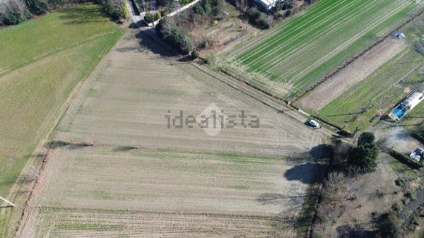 terreno agricolo in vendita a Tezze sul Brenta in zona Tezze