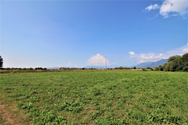 terreno agricolo in vendita a Thiene