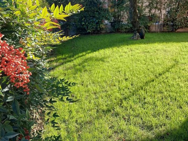 appartamento in vendita a Thiene