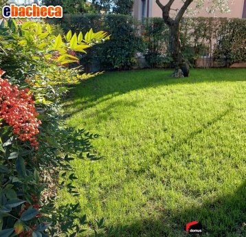appartamento in vendita a Thiene