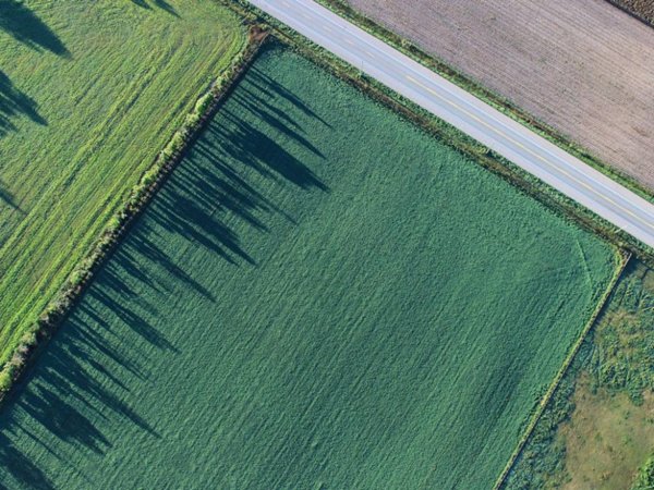 terreno agricolo in vendita a Thiene