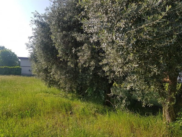 terreno edificabile in vendita a Thiene