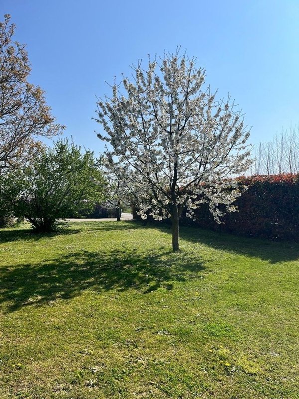 casa indipendente in vendita a Thiene