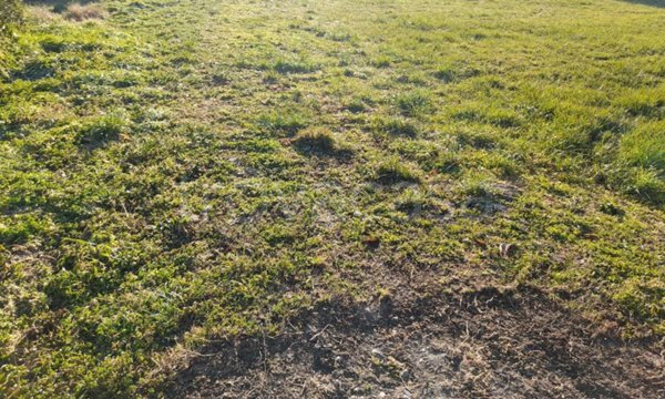 terreno edificabile in vendita a Thiene