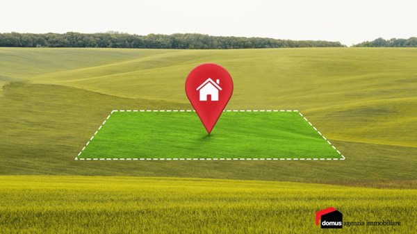 immagine annuncio 0 di 3