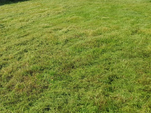 terreno edificabile in vendita a Thiene