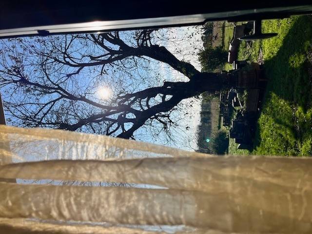 casa indipendente in vendita a Thiene