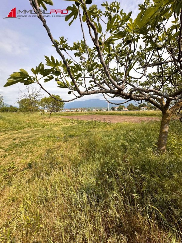 casa indipendente in vendita a Thiene