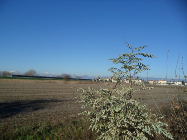terreno edificabile in vendita a Torri di Quartesolo in zona Lerino