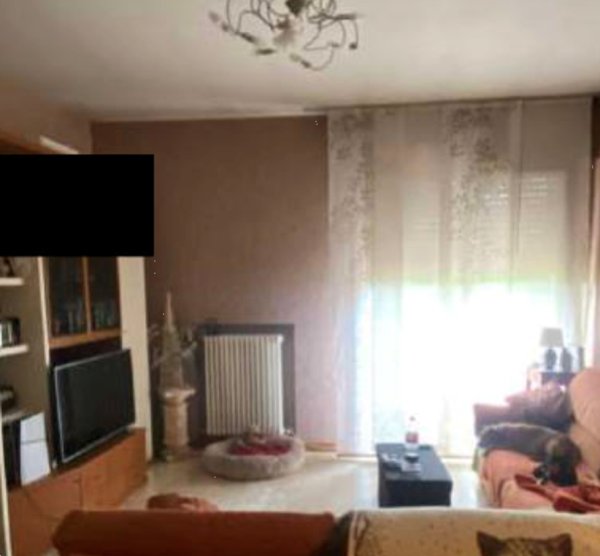 appartamento in vendita a Torri di Quartesolo