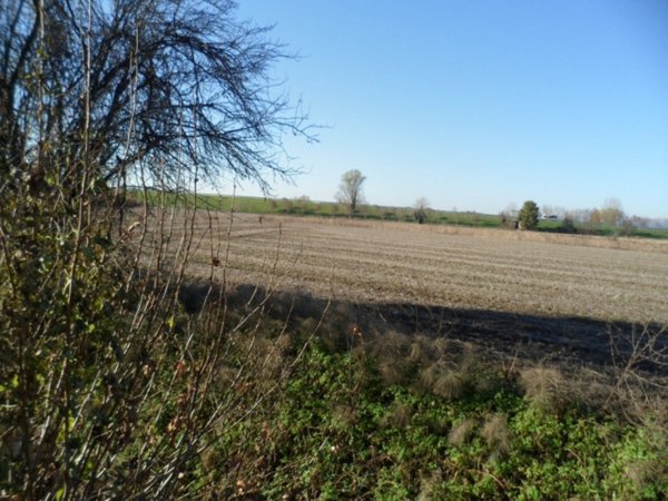 terreno agricolo in vendita a Torri di Quartesolo in zona Lerino
