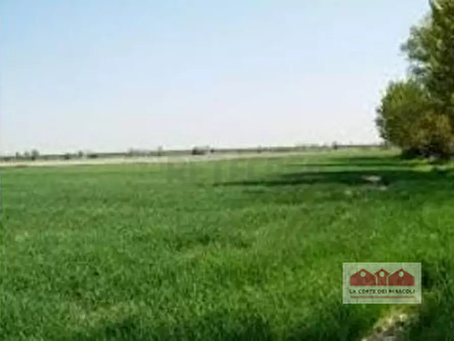 casa indipendente in vendita a Torri di Quartesolo