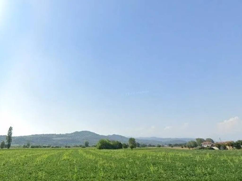 terreno agricolo in vendita a Torri di Quartesolo in zona Lerino