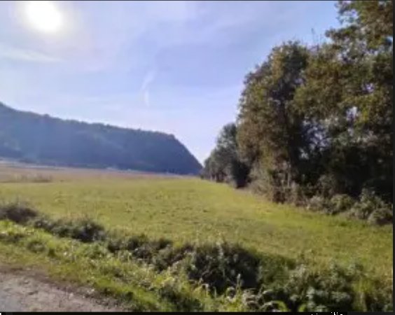 terreno agricolo in vendita a Trissino