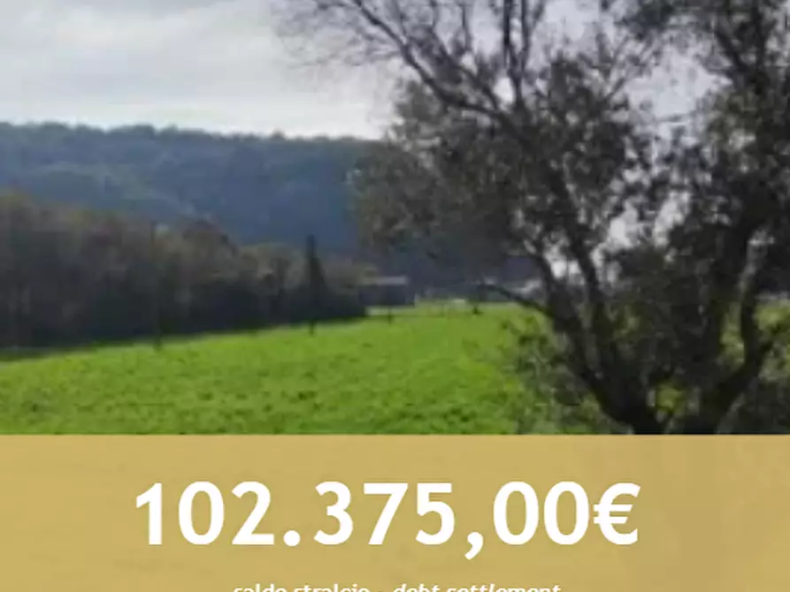 terreno agricolo in vendita a Trissino in zona Lovara