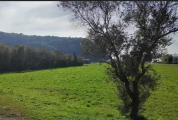 terreno agricolo in vendita a Trissino in zona Lovara
