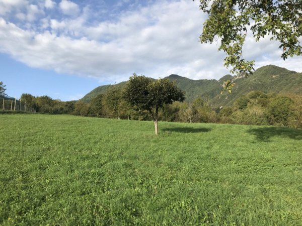 terreno edificabile in vendita a Valdagno in zona Campotamaso