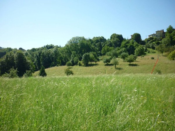 terreno agricolo in vendita a Valdagno in zona Piana